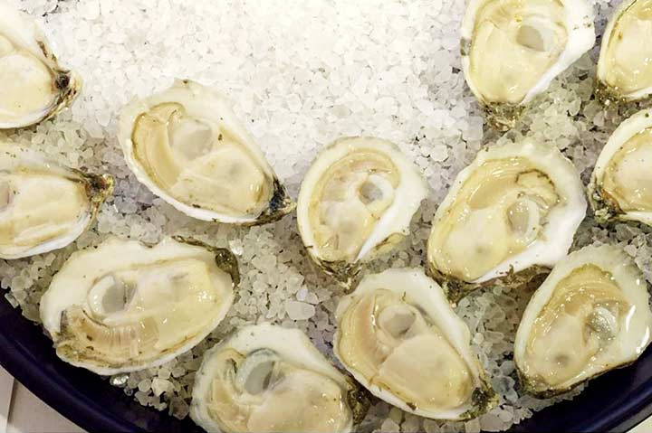 Navy Cove Oysters
